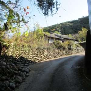 香南市野市町父養寺 土地 【355坪の住宅用地】